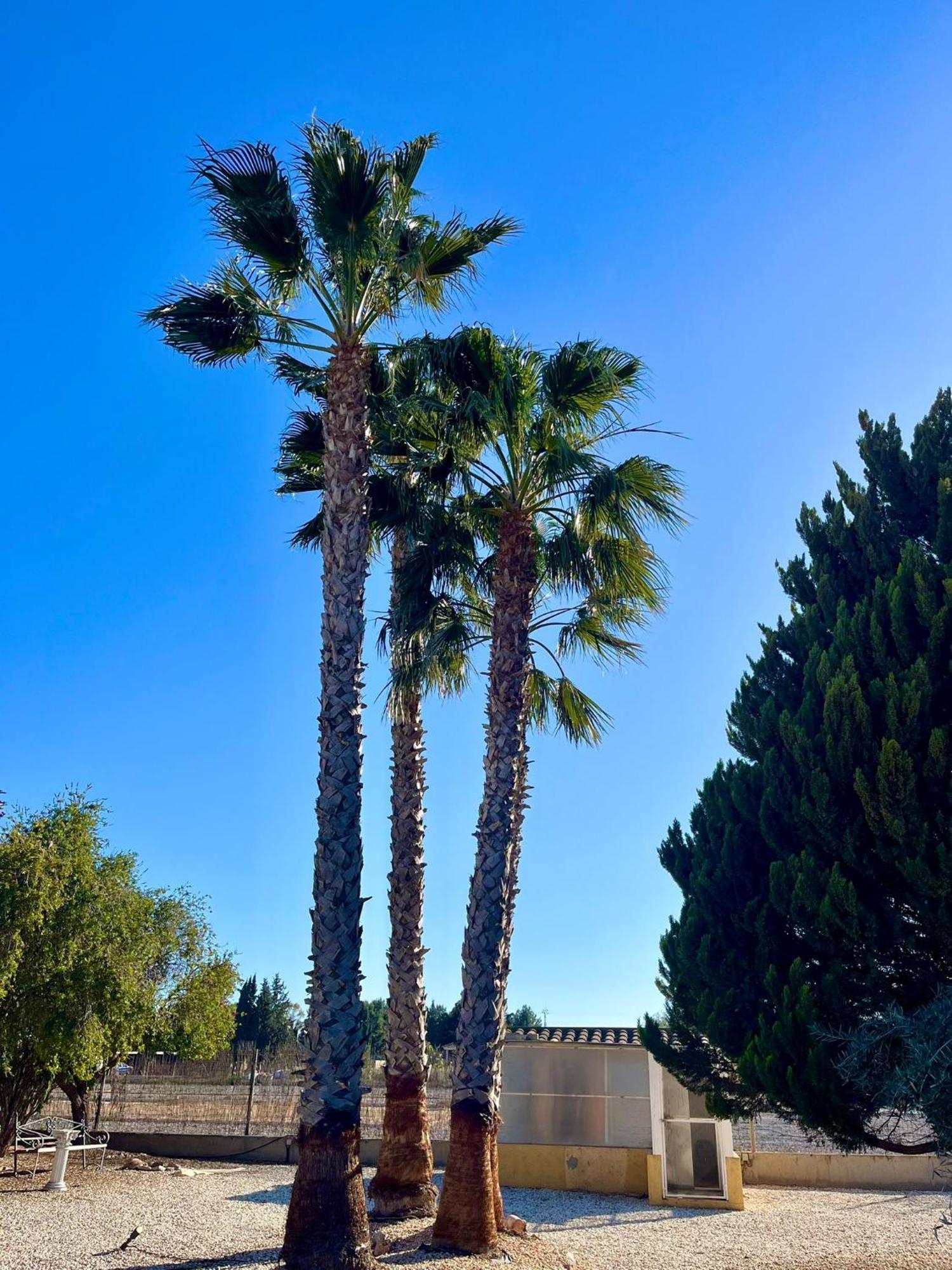Chalet La Calma En Lorca Εξωτερικό φωτογραφία